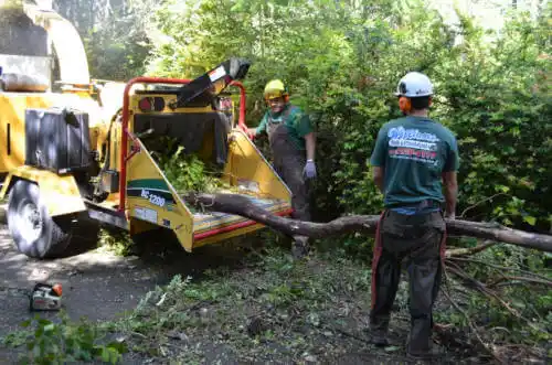 tree services Drysdale